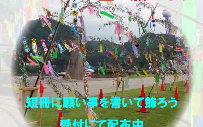 七夕飾り【令和７年６月１８日～７月７日】