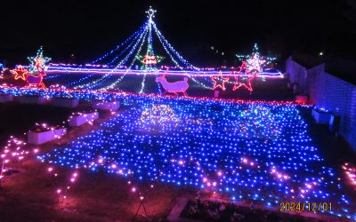 さがみ湖やまなみイルミネーション【2025年12月1日～】