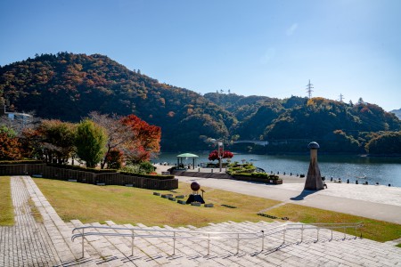 相模湖公園の紅葉（2022.11.8現在） ぶらり相模湖｜県立相模湖公園｜相模湖観光協会